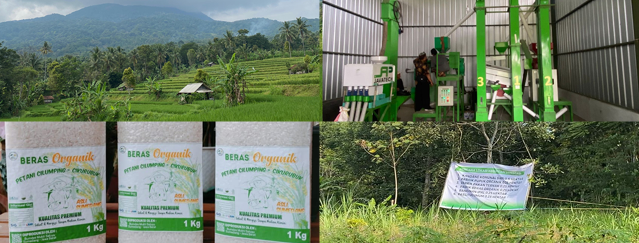 Sumedang Organic Project