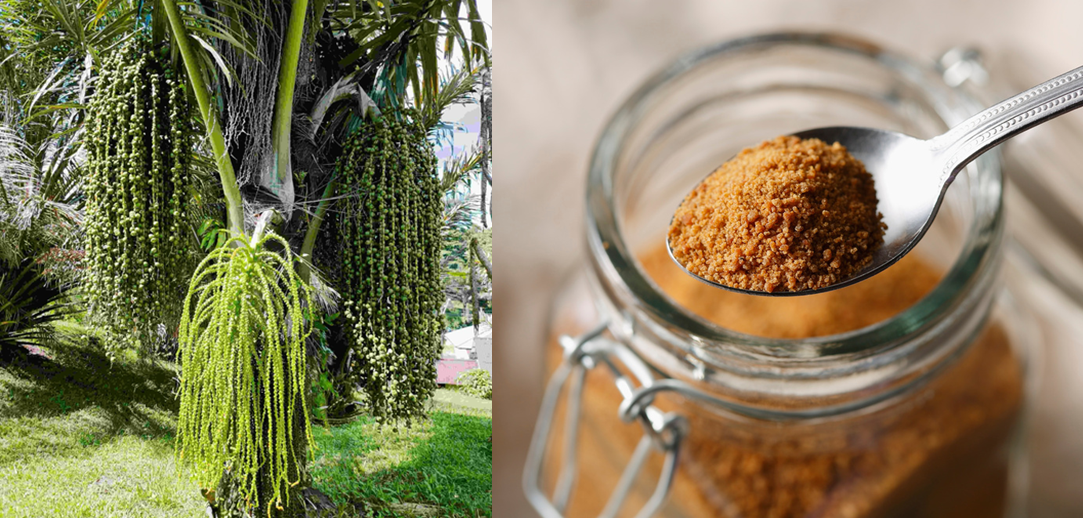 SINTAS Tasikmalaya Project